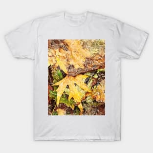 Fallen leaves floating in the river, 2, (Set of 3), fall, autumn, xmas, holiday, nature, forest, trees, winter, color, flowers, orange, art, botanical, leaves, leaf, floral, wet, rain, water, holidays, digital, spring, aqua, graphic-design, christmas T-Shirt